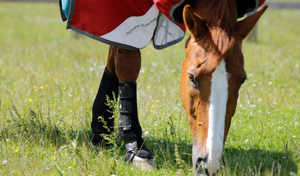 The benefits of horse turnout boots